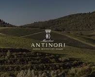 Antinori Agricola Ficulle (TR)